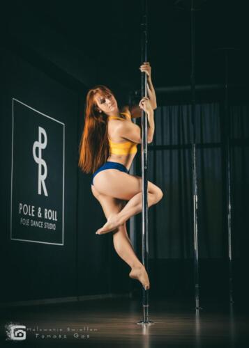 poleandroll fb malowanieswiatlem 0026