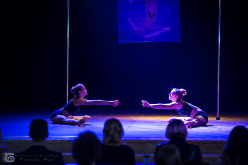 rudaslaska malowanieswiatlem 277 pole dance stalowa wola tarnobrzeg pole  roll studio (94)