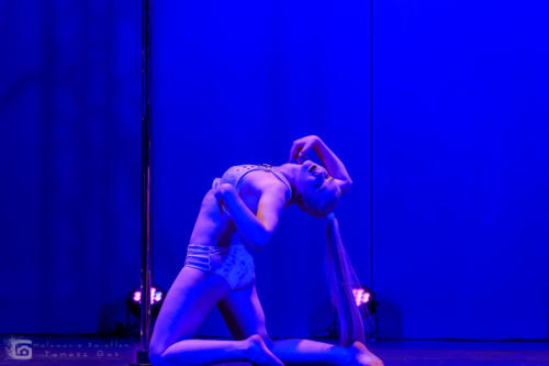 GAS 3341 pole dance stalowa wola tarnobrzeg pole  roll studio (11)